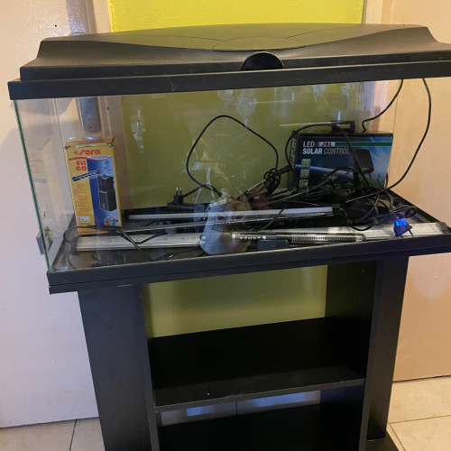 A vendre aquarium 80L avec son meuble, complet + options