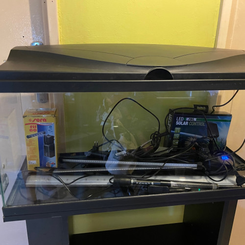 A vendre aquarium 80L avec son meuble, complet + options