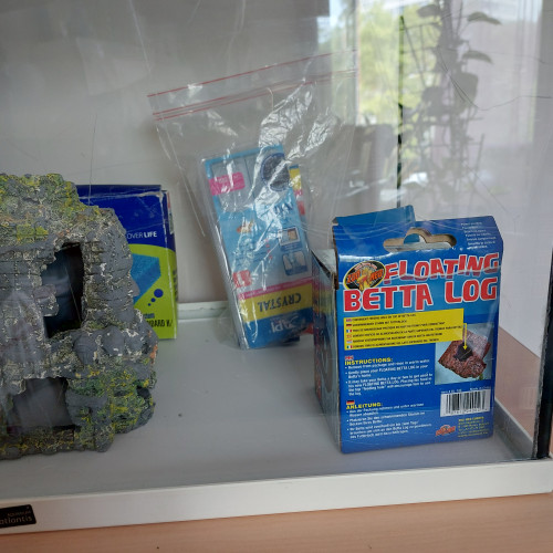 Aquarium  Start 55