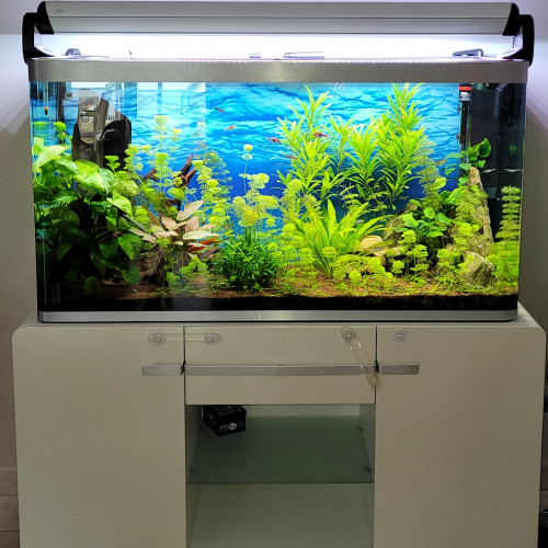 Osaka blanc 320L