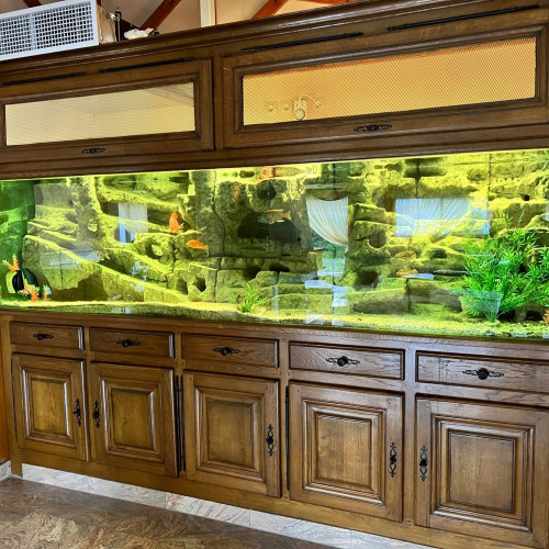 Aquarium Complet 300 litres sur Meuble Blanc avec LED [Pompe