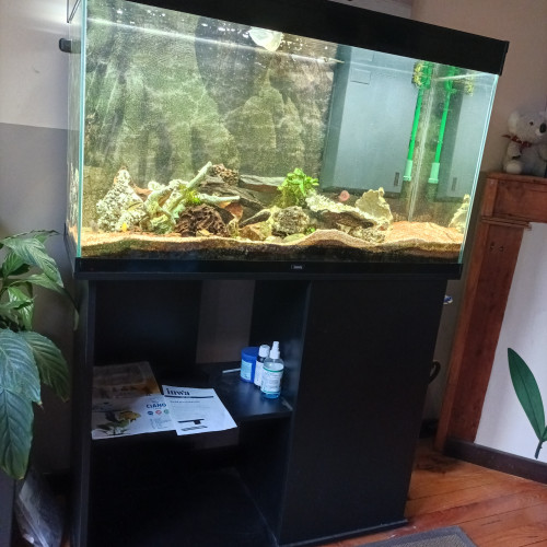 Aquarium. Avec meuble complet a vendre