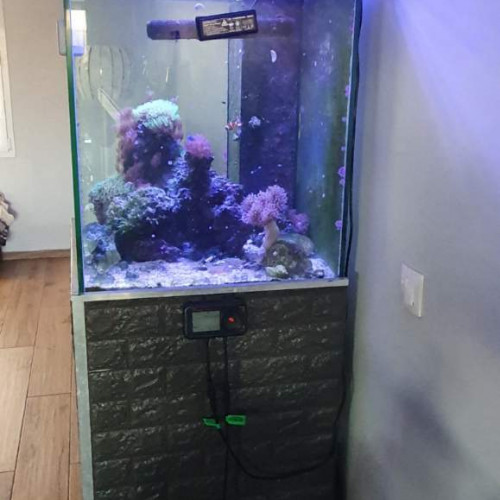 Aquarium recifal complet