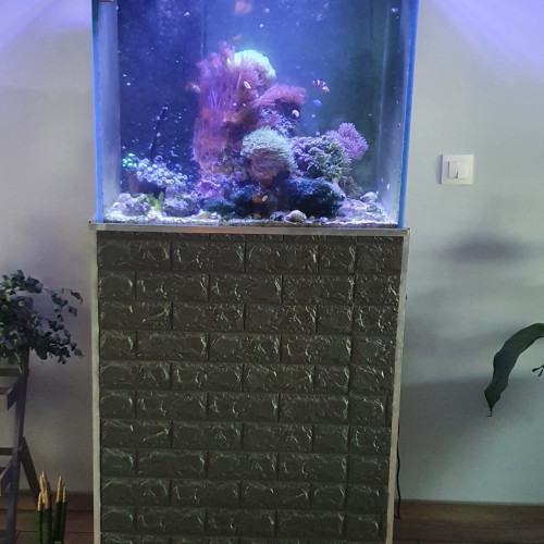 Aquarium recifal complet