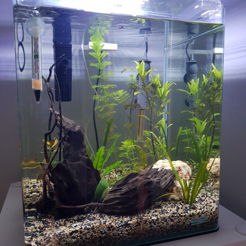 Aquarium Dennerle 30L
