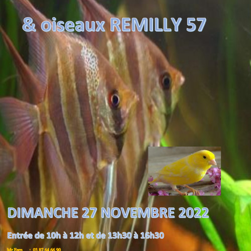 BOURSE AUX POISSONS REMILLY DIMANCHE 27 NOVEMBRE 2022