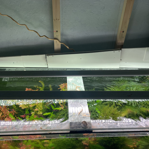 300l aquascaping