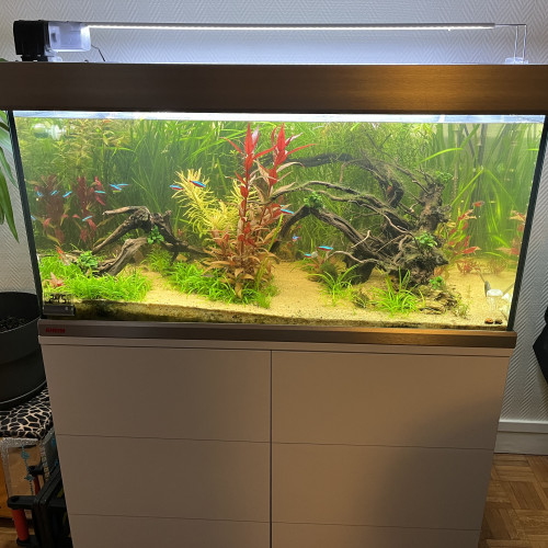 Eheim Proxima 250