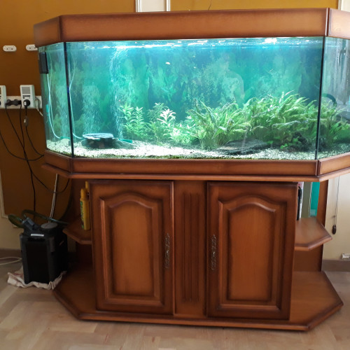 Aquarium 450 litres complet avec meuble