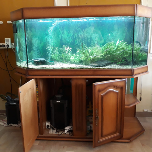 Aquarium 450 litres complet avec meuble