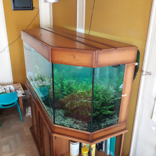 Aquarium 450 litres complet avec meuble