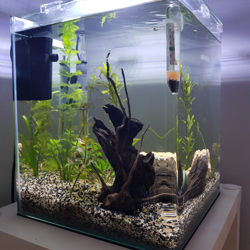 nano delernne 30L  40€