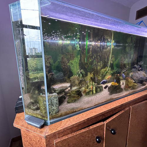 Aquarium 600litres