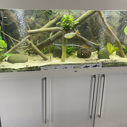Aquarium Juwel 450l + filtre Eheim pro 3 + accessoires