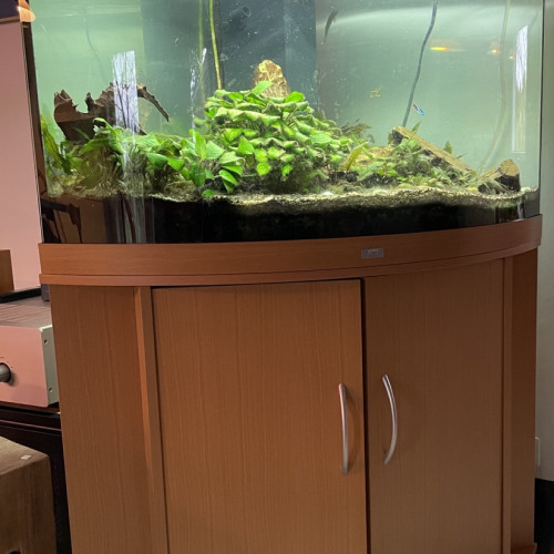 Aquarium Juwel Trigon 190 + meuble
