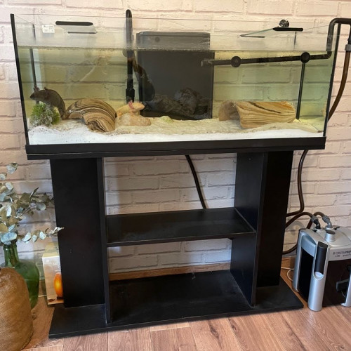 Aquarium 120l