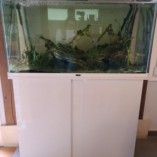 Vends aquarium complet 300l