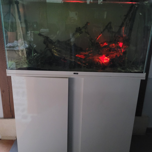 Vends aquarium complet 300l