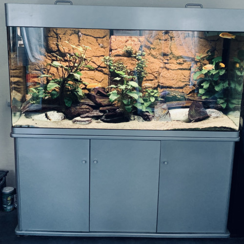 Vends aquarium