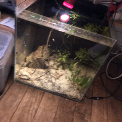 Vend aquarium 30l