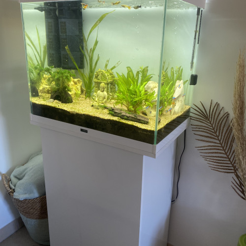 Aquarium Ciano 100L + aquarium 20L + accessoires