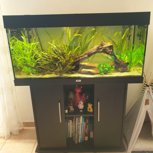 aquarium Juwel Rio 180l complet