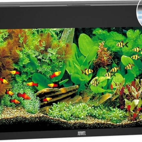 Meuble Aquarium Juwel Rio 125 litres (tout compris) + Pack complet d’accessoires (achats séparés ou complet)