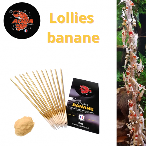 Lollies banane bio aquashrimp