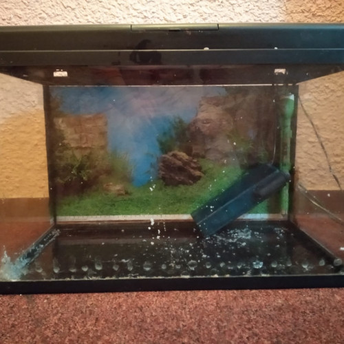 Aquarium 50l