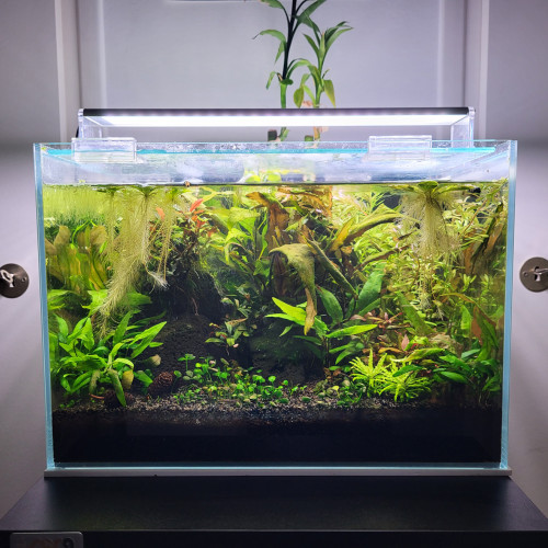 Aquarium Blau Cubic (28L env.) + rampe Chihiro A-serie