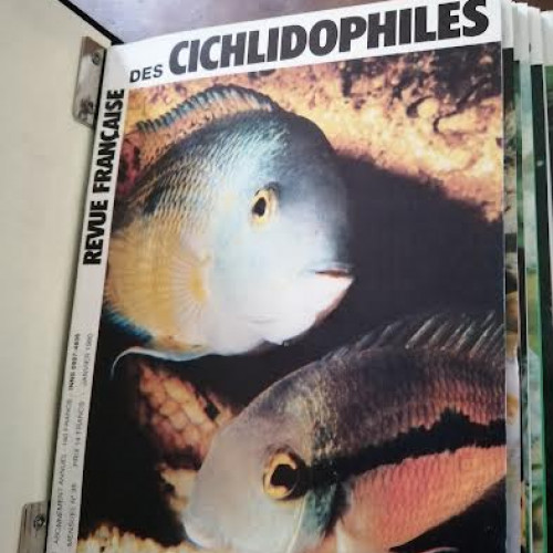 revues française des cichlidophiles
