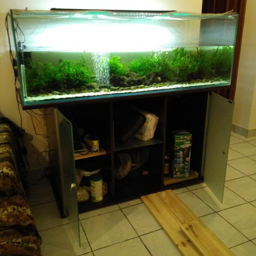 Aquarium 390 litres sur meuble, en très bon état