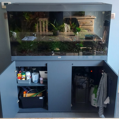 Aquarium 350L + meuble + matériel