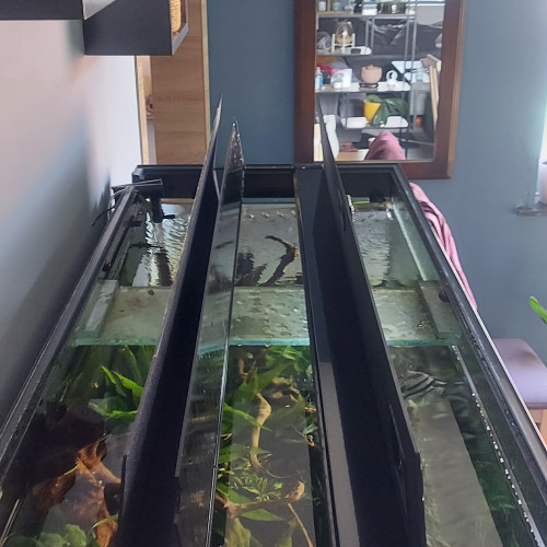 Aquarium 350L + meuble + matériel