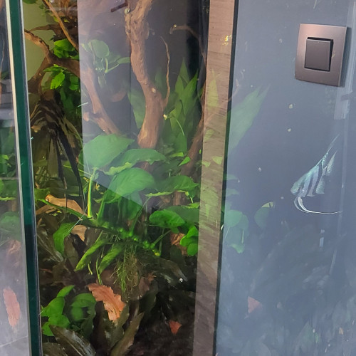 Aquarium 350L + meuble + matériel