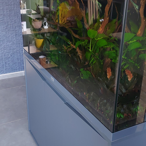 Aquarium 350L + meuble + matériel