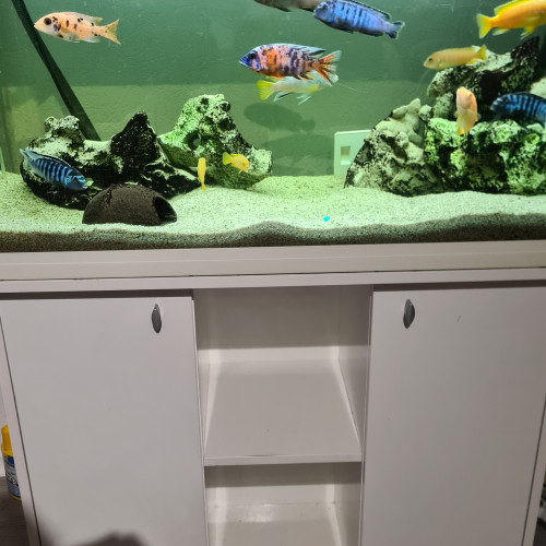 Aquarium 200L blanc avec meuble