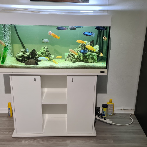 Aquarium 200L blanc avec meuble
