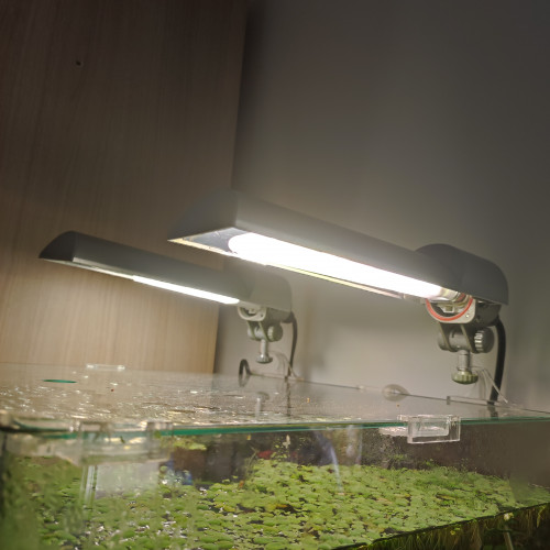 Lampe pour Aquarium Nanocube marque Dennerle modèle DBEA-11W