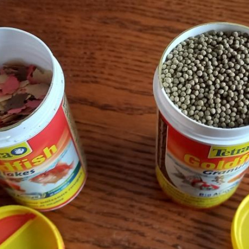 Nourriture poisson rouge