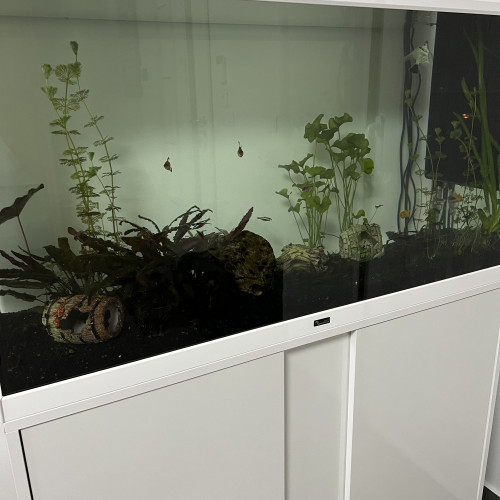 Aquarium 200L aquatlantis complet comme neuf