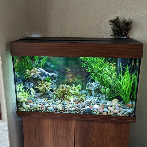 Aquarium+ meuble Juwel Rio 125