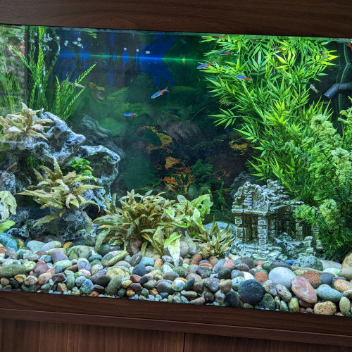 Aquarium+ meuble Juwel Rio 125