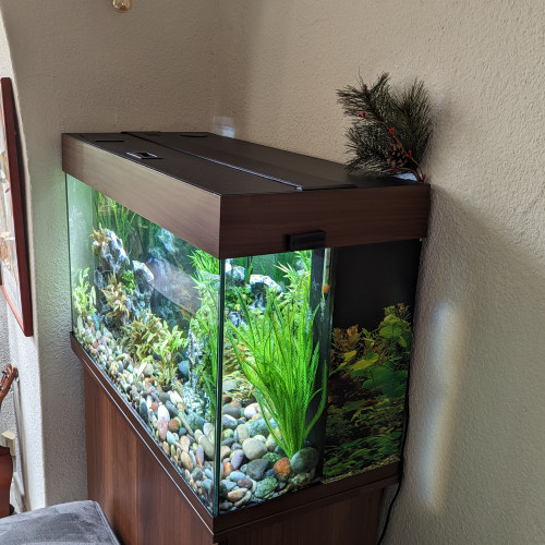 Aquarium+ meuble Juwel Rio 125