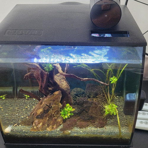 Vente aquarium complet