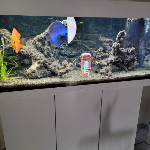 Vends aquarium Juwel