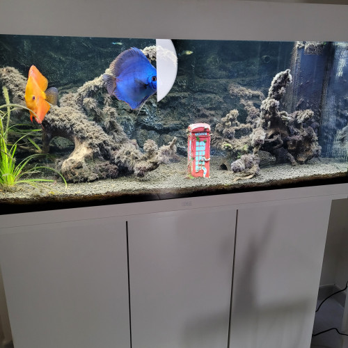 Vends aquarium Juwel