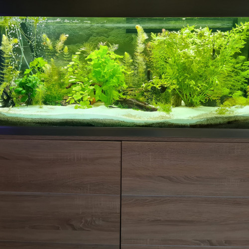 Aquarium Eheim proxima 325