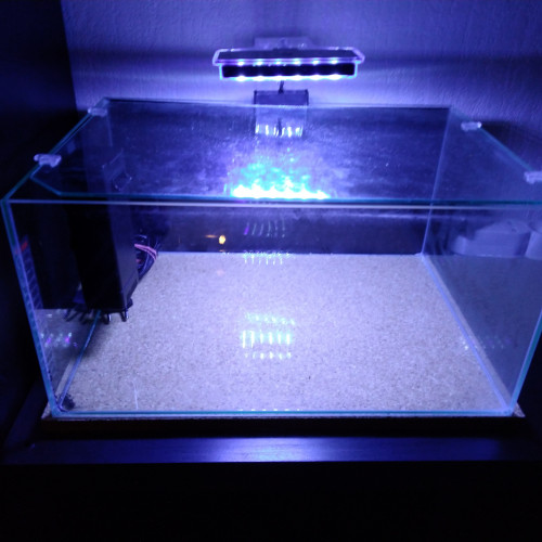 Aquarium Zolux 23 litres équipé