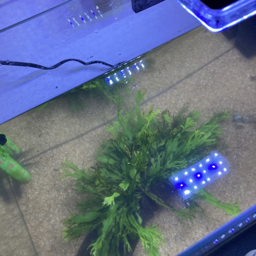 Vends aquarium et accessoires divers